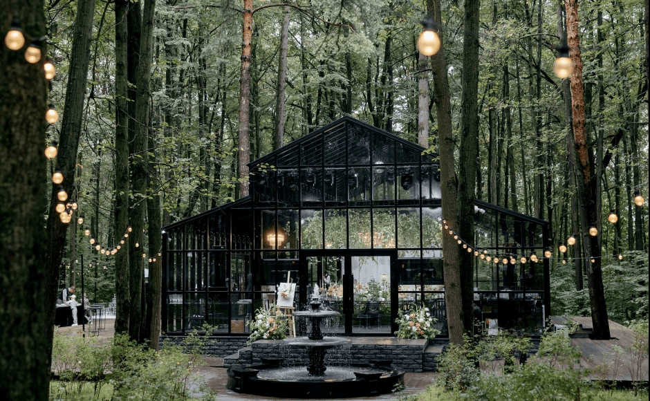 Лесная локация вечера